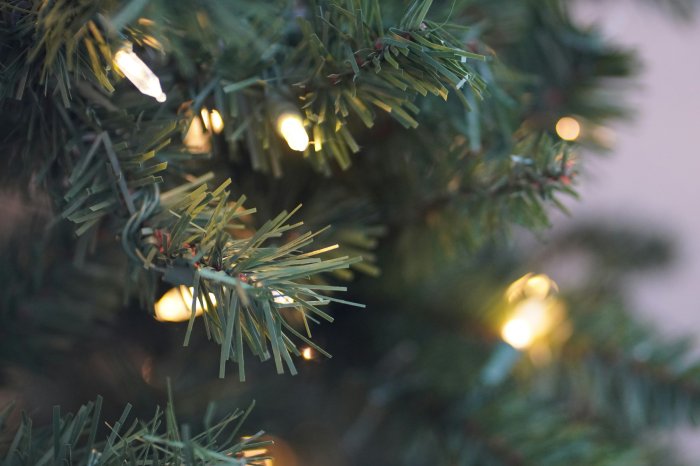 Tannenbaumaktion 2026